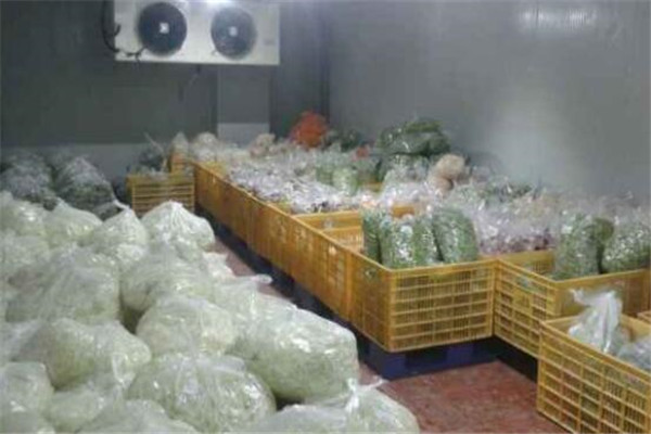 果蔬保鮮冷庫打造更優品質